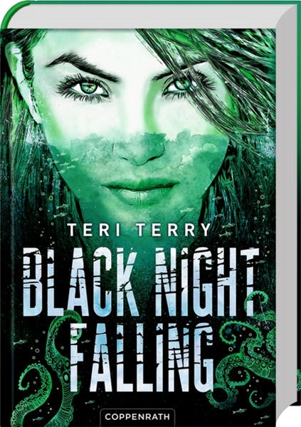 Bild von Terry, Teri: Black Night Falling (Bd. 3)