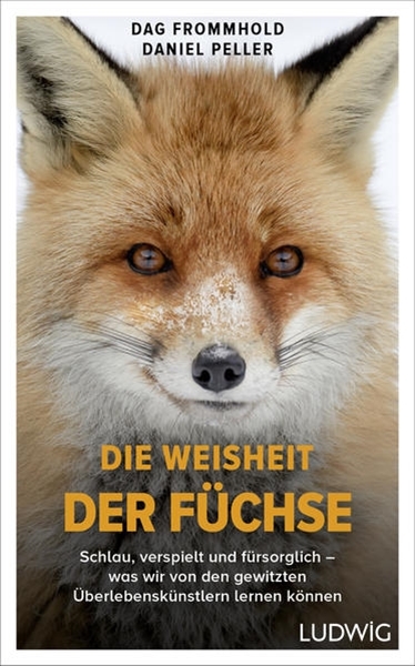 Bild von Frommhold, Dag: Die Weisheit der Füchse