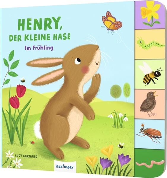 Bild von Kiel, Anja: Henry, der kleine Hase