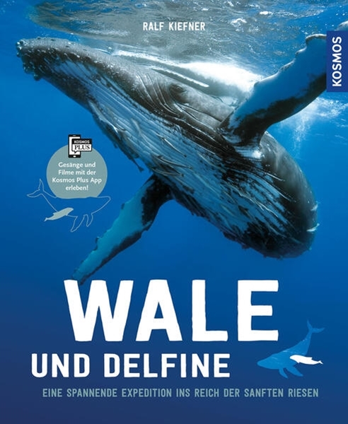Bild von Kiefner, Ralf: Wale & Delfine