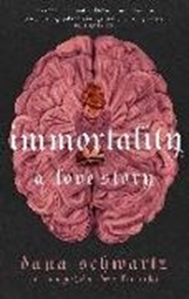 Bild von Schwartz, Dana: Immortality: A Love Story