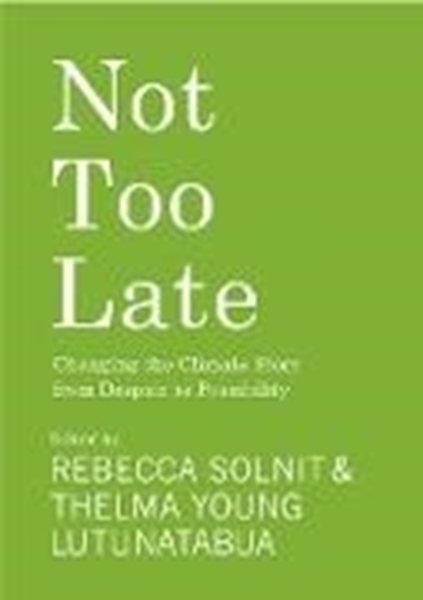 Bild von Solnit, Rebecca (Hrsg.): Not Too Late (eBook)