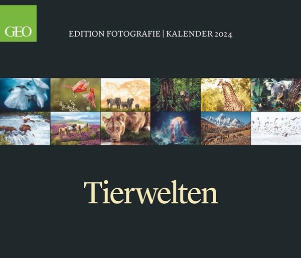 Bild von Gruner+Jahr GmbH (Hrsg.): GEO Edition: Tierwelten Posterkalender 2024, im Format 70 x 60 cm, Monatskalender zum aufhängen, Tierkalender mit Bildern auf dem Tierreich